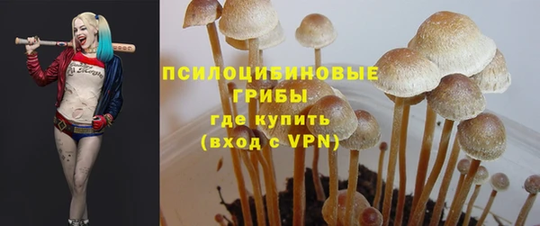 гидра Арсеньев