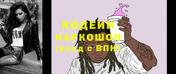 гидра Арсеньев