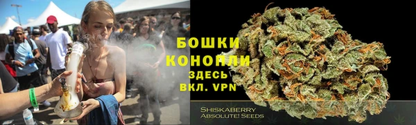 шишки Алзамай