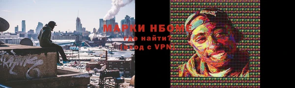 гидра Арсеньев