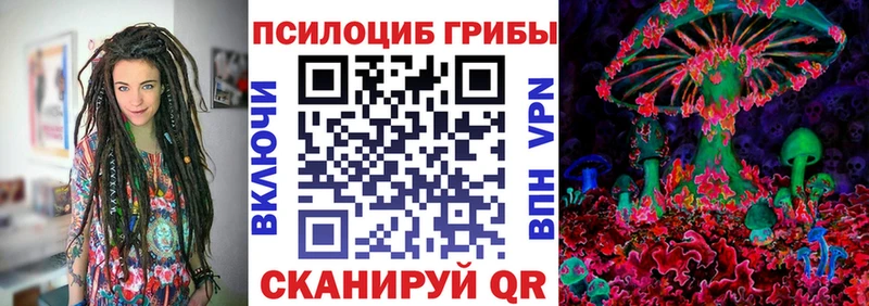 Псилоцибиновые грибы мухоморы Дорогобуж