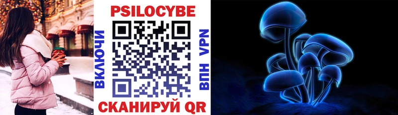 купить  сайты  Дорогобуж  KRAKEN   Галлюциногенные грибы Psilocybe 